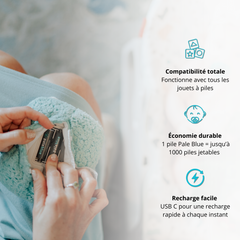 Pile Rechargeable USB AAA / LR03 Type C